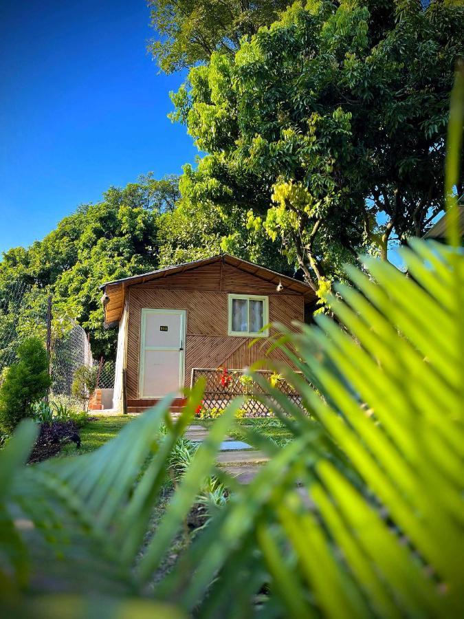 Hotel O Royal Tree Cafe And Resort Dehradun Bagian luar foto