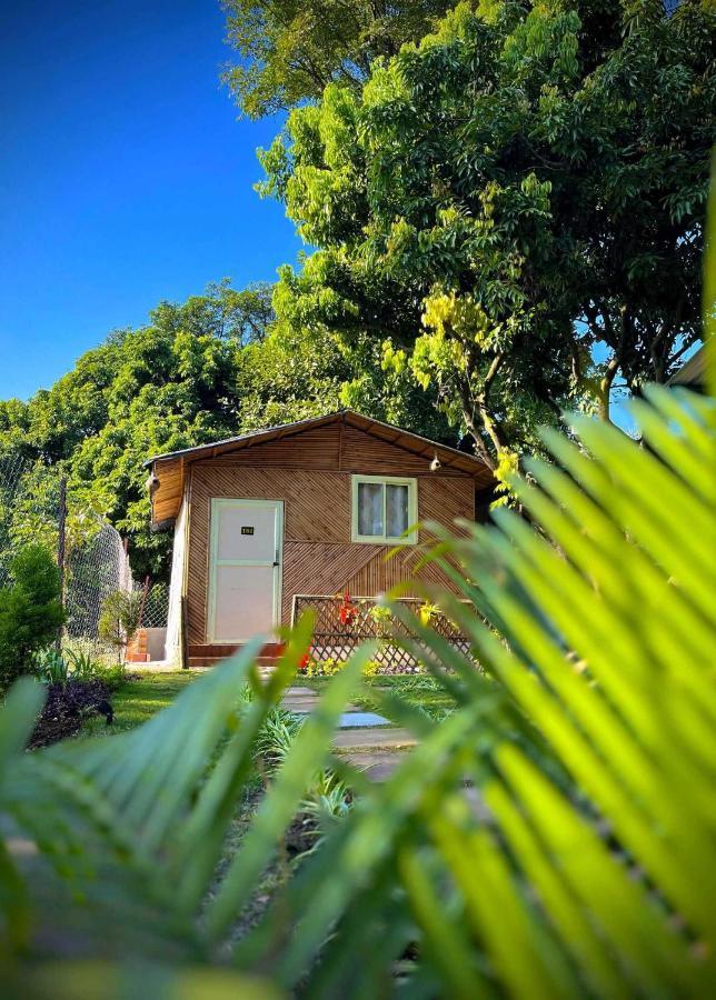 Hotel O Royal Tree Cafe And Resort Dehradun Bagian luar foto